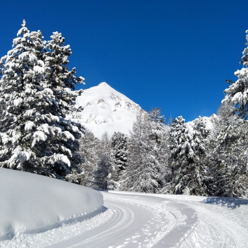 Route damée pour skieurs de fond, piétons et luges au Refuge Napoléon Izoard